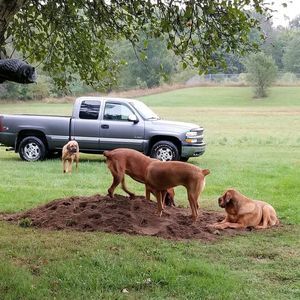 Meet your Posher, Diane